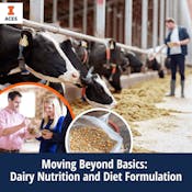 Moving Beyond Basics: Dairy Nutrition and Diet Formulation