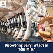 Discovering Dairy: What's in Your Milk?