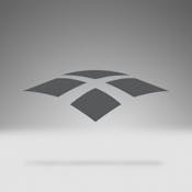 Professional IQ Capstone