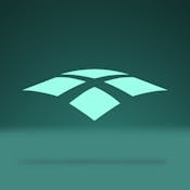 Shaping Your Professional Brand